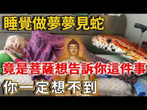 路上看到蛇代表什麼|【看見蛇代表什麼】看見蛇代表什麼？民俗專家揭露傳統文化中的。